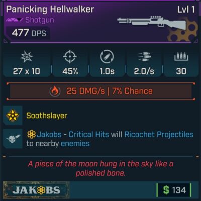 BL4 Hellwalker L1 Modded Legendary Shotgun