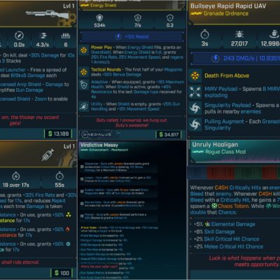 BL4 Rogue Leveling Pack L1 Modded C4SH Bundle Gear Set