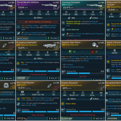 Ricochet Witch Vex God Roll Build with 12 Level 60 items